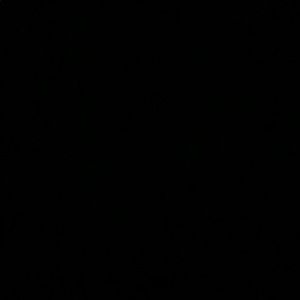 Meet your Posher, Adrian